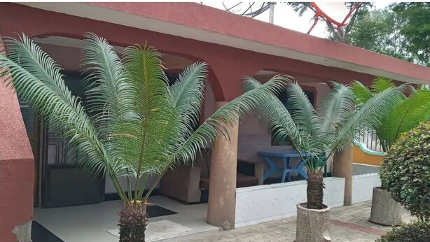 A building with a red facade and a covered entrance area. There are palm trees planted in front of the entrance.