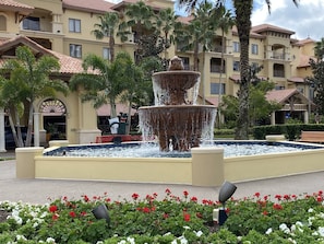 Terrain de l’hébergement 