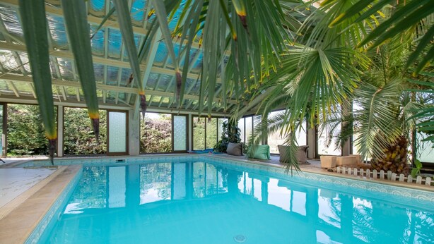 A clear indoor swimming pool with a glass ceiling, surrounded by palm trees and a view of the outdoors.