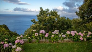 Un jardin agrémenté de buissons d’hortensias et offrant une vue sur l’océan.