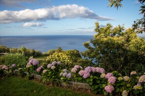 Un jardín con flores de hortensia, un muro de piedra y vistas al océano.
