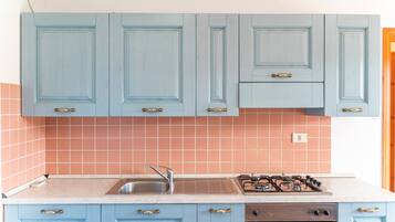 Fridge, oven, stovetop, cookware/dishes/utensils