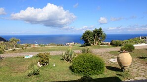 A garden with a large pot, palm trees, and a view of the ocean.