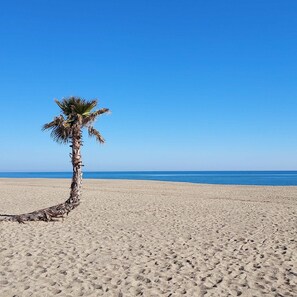 Playa en los alrededores 