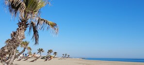 Playa en los alrededores 