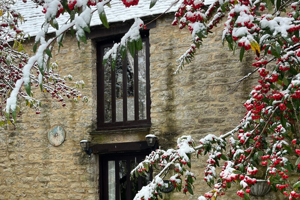 Winter at The Dovecote