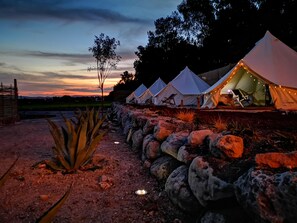 Una hilera de tiendas blancas con luces colgantes, con un cielo crepuscular de fondo, y un camino pedregoso y una planta de agave en primer plano.
