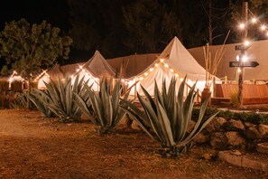 Reception - Nomada Glamping - San Miguel de Allende X NANTLI LIVING (San Miguel de Allende)