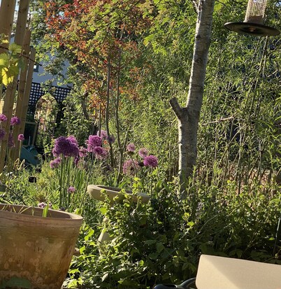 Eclectic Barn · Pergola & Dog-Friendly Garden