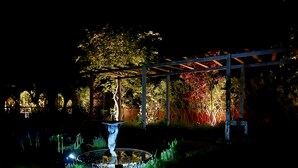 A garden with a statue, a pergola, and a pond at night. - Eclectic Barn · Pergola & Dog-Friendly Garden (Calne)
