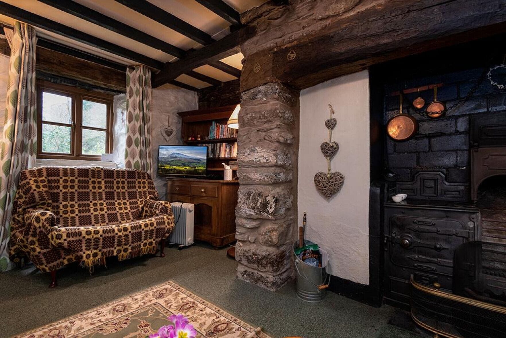 TV, fireplace, DVD player