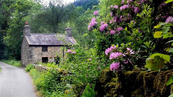Property grounds - Glan Lledr - Two Bedroom Cottage, Sleeps 4 (Betws-y-coed)
