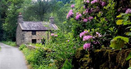 Glan Lledr - Zwei Schlafzimmer Kleines Landhaus, Schläft 4