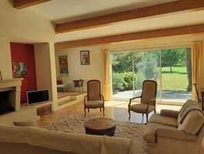 Smart TV, fireplace, DVD player, books