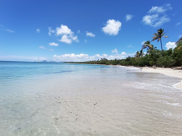 Sun loungers - Magnificent family villa with swimming pool! Separate office, ideal for telecommuting. (Le Vauclin)