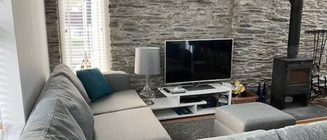 Smart TV, caminetto, libri