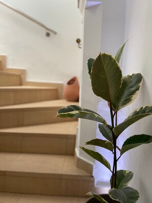 Interior detail - Casa Africa (Tarifa)