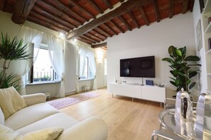 Älytelevisio, kirjoja