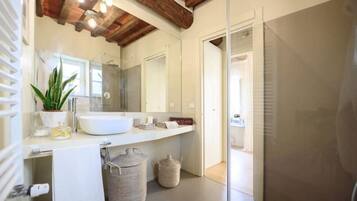 Shower, hair dryer, bidet, towels
