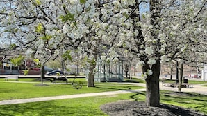 A park with a large tree in full bloom, benches, a gazebo, and a well-maintained lawn. - STARWOOD - PET FRIENDLY! - OFF GRID - ROMANTIC - ON WINE TRAIL (Hammondsport)