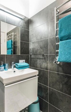Shower, hair dryer, soap, toilet paper