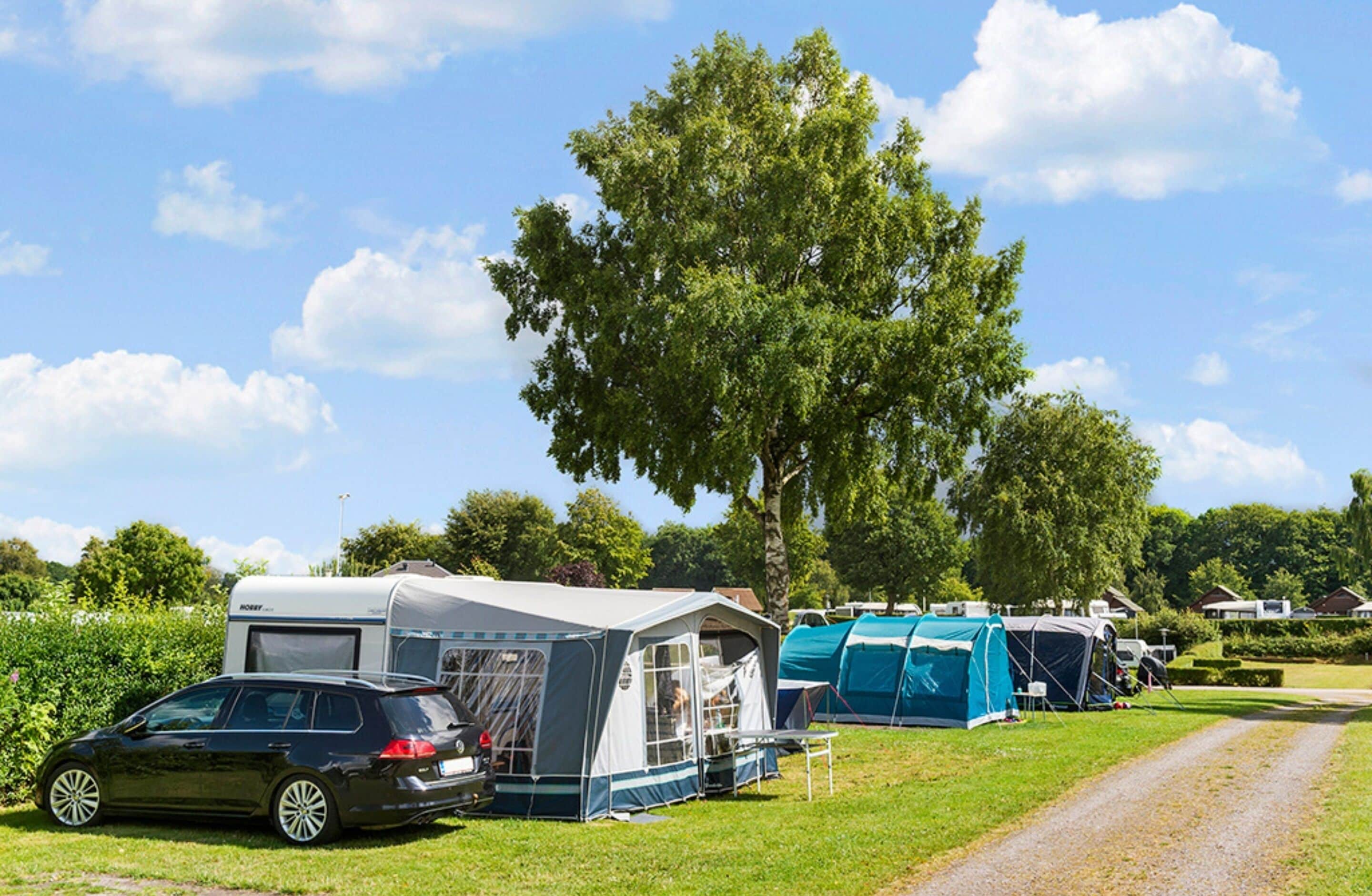 A campsite with several tents and a caravan, a dirt path, and a large tree in the background.