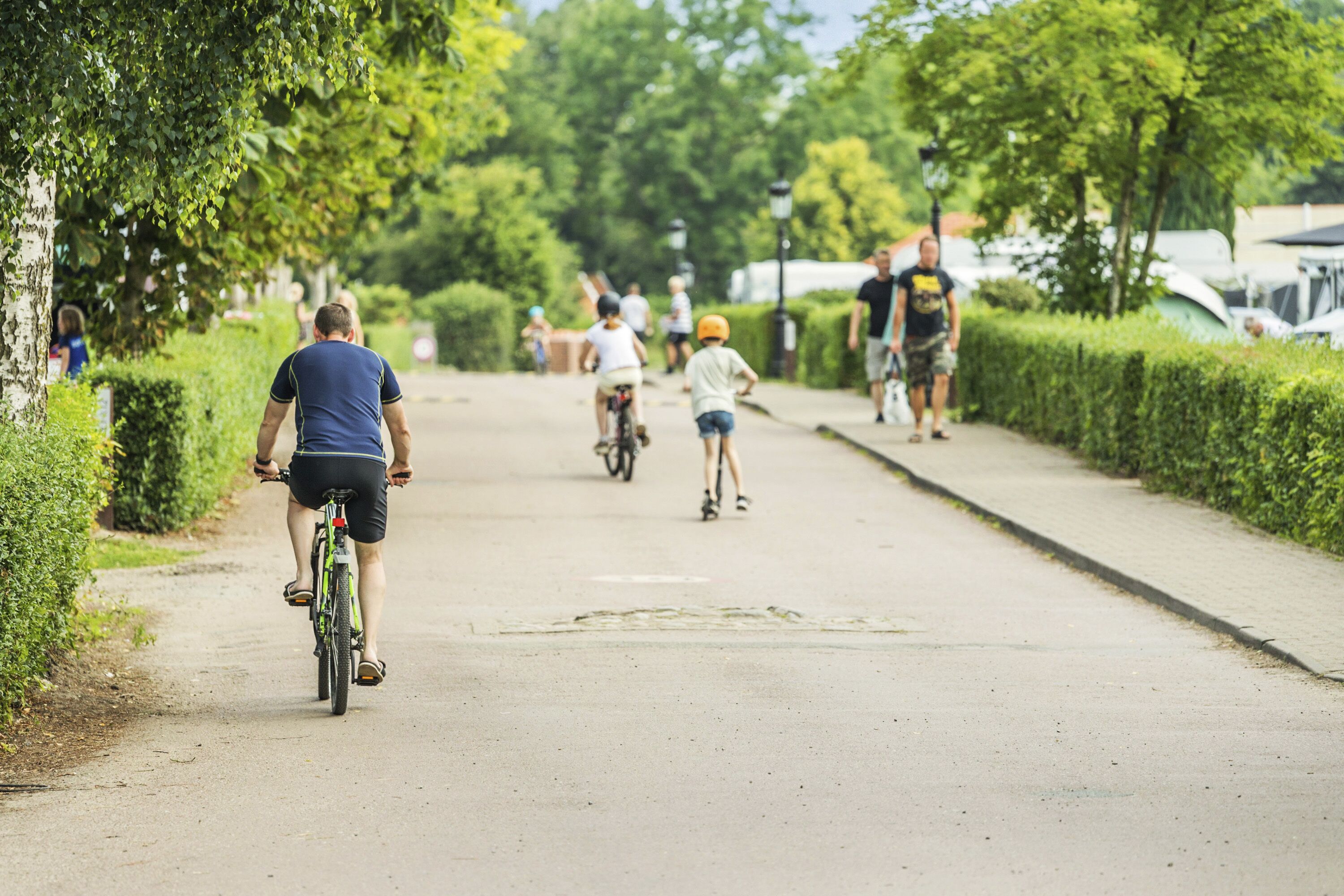 A paved pathway lined with greenery, suitable for walking or cycling.