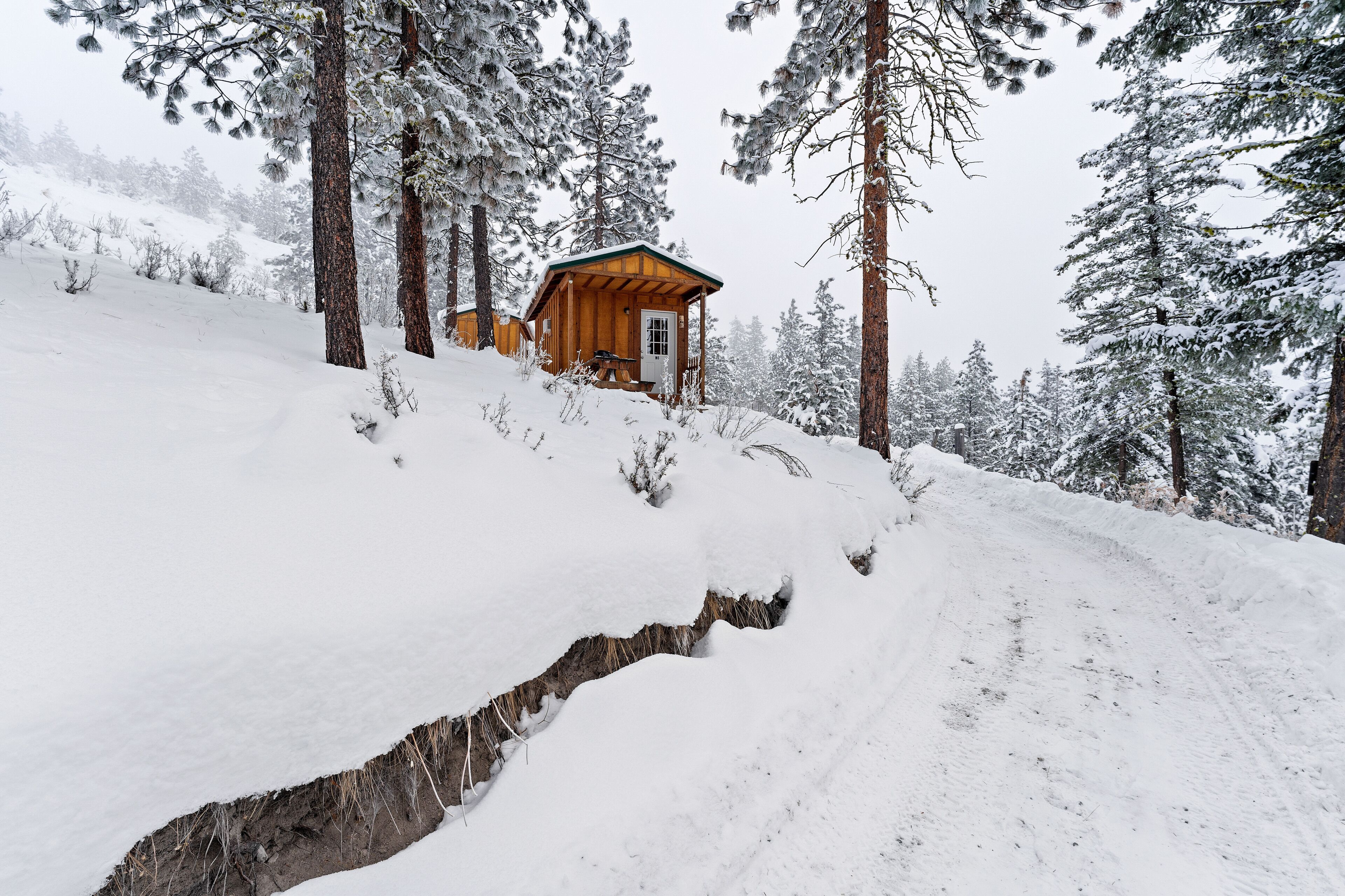 Fuji Adventure Studio Cabin Shared Bath | Sábanas de algodón egipcio y ropa de cama de alta calidad 