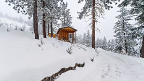 A wooden cabin on a snowy slope surrounded by tall pine trees. - Echo Valley Resort & Cabins (Manson)