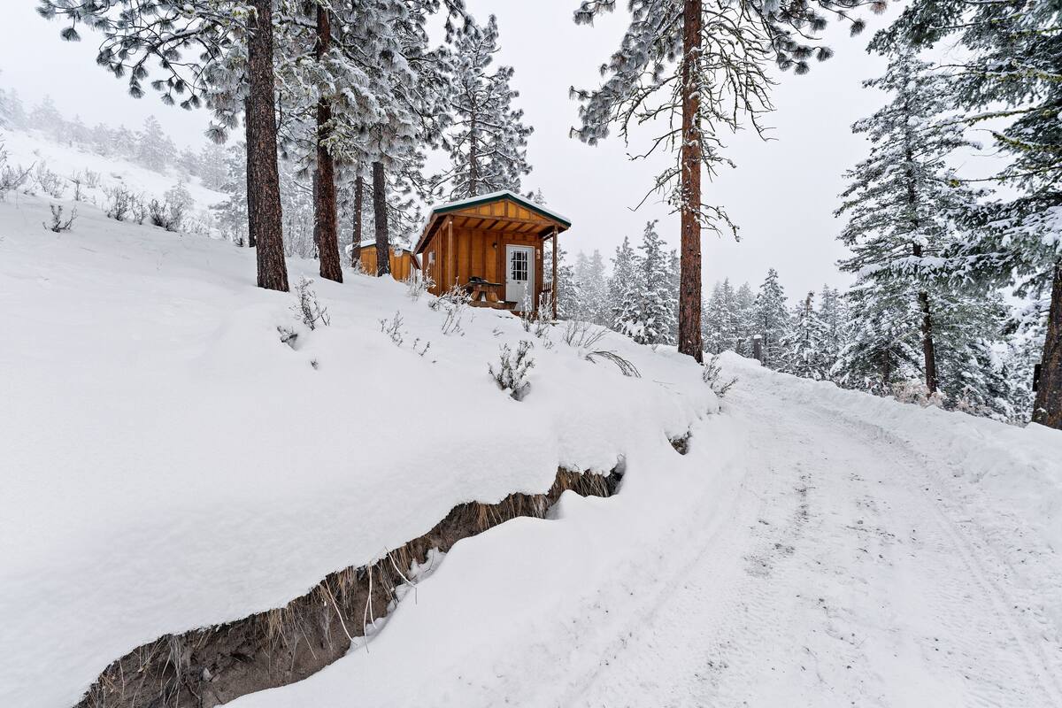 A wooden cabin on a snowy slope surrounded by tall pine trees.
