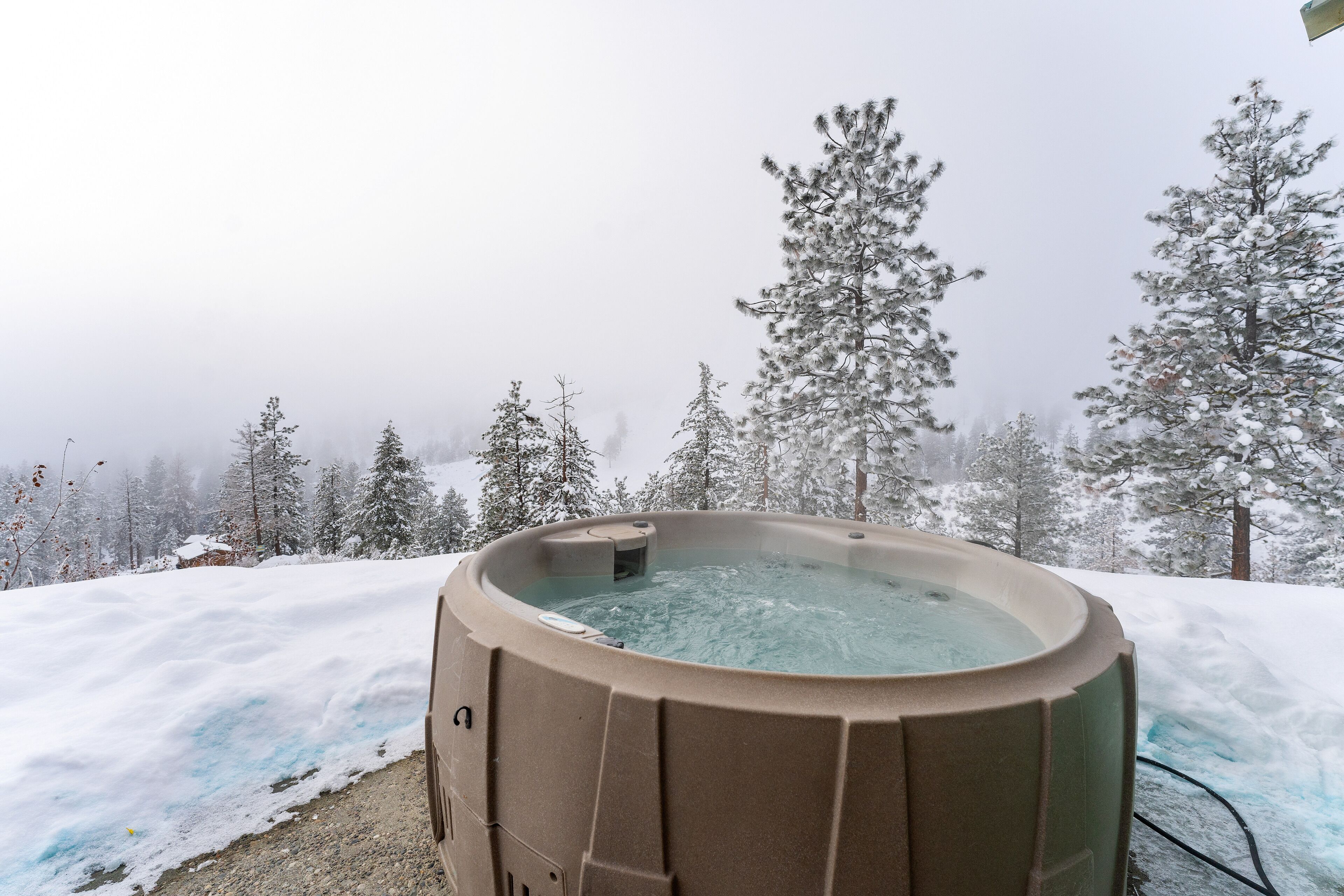 Un bain à remous entouré d’arbres couverts de neige.