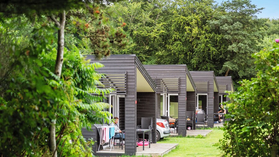 First Camp Skovlund Lillebælt