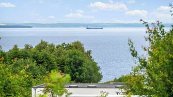 A large body of water with a ship in the distance, surrounded by dense green foliage and a building with a flat roof.