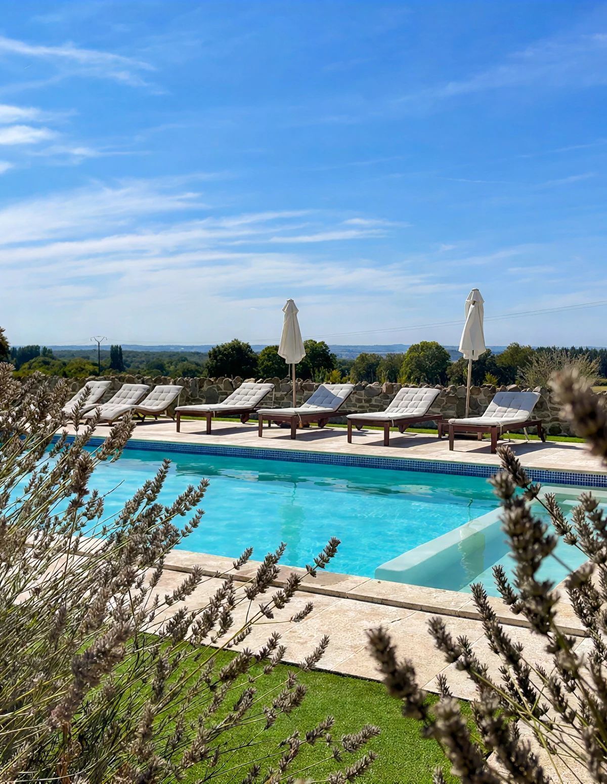 Une piscine entourée de verdure, avec des chaises longues et des parasols, sous un ciel dégagé.