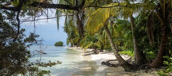 125' Schooner : Sailing yacht for your next experience.