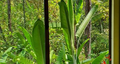 Jungle Cabin - Walking distance from the river!