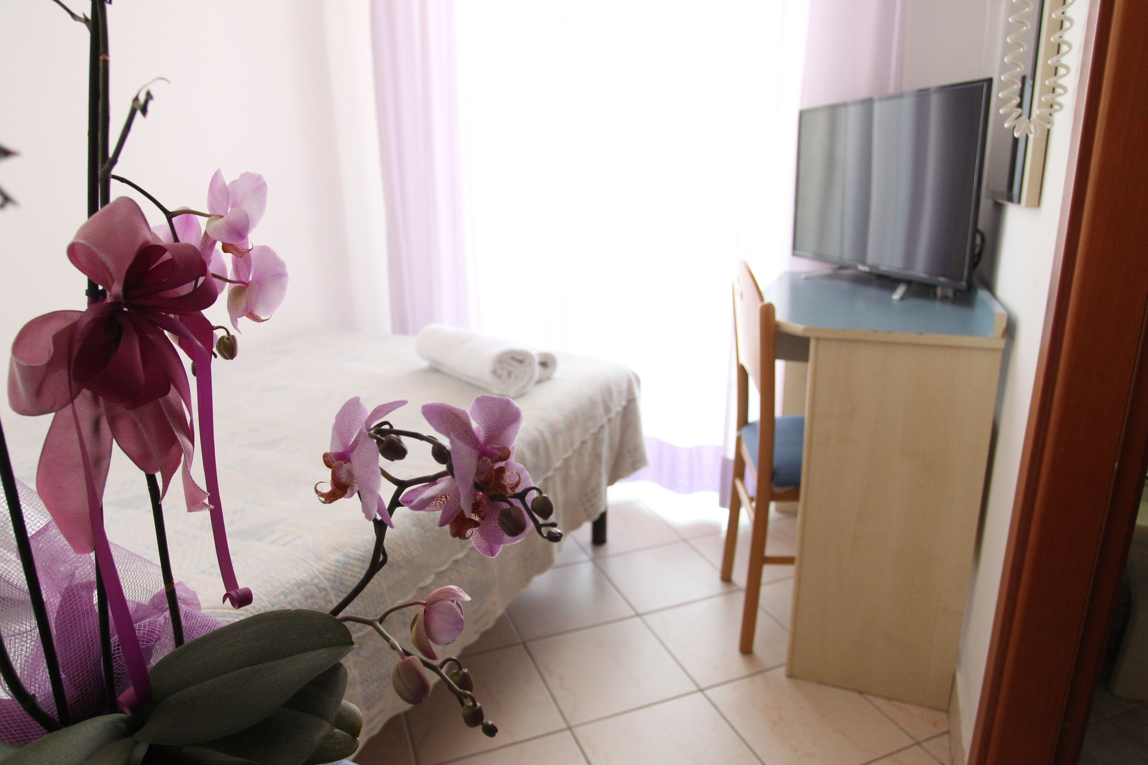 A bedroom with a bed, a desk with a TV, and a potted orchid plant.