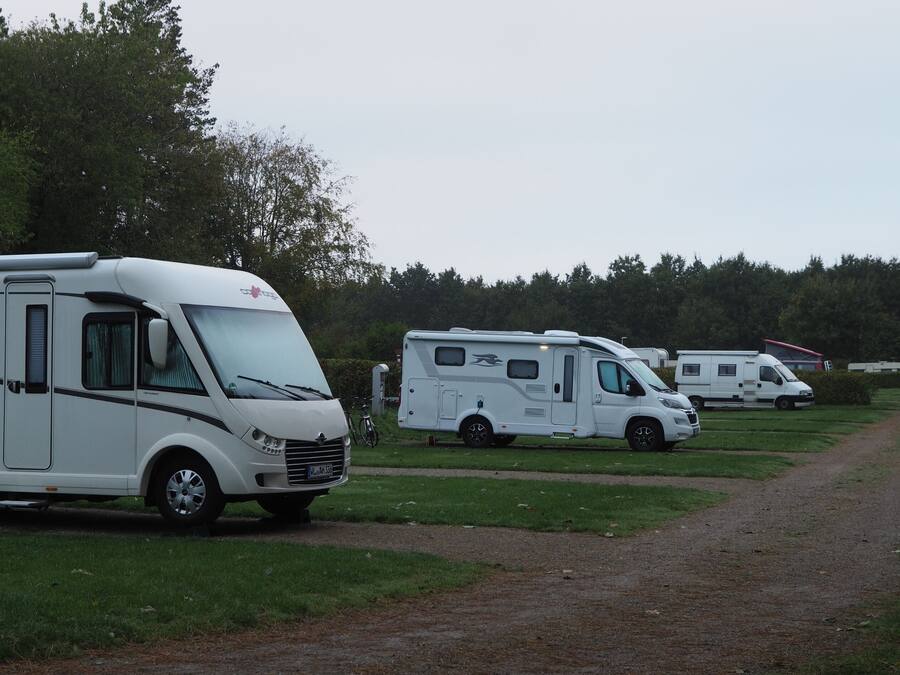 A row of white RVs parked on a dirt path with grass on either side, surrounded by trees.