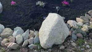 A large rock with "Ocean Breeze" engraved on it, surrounded by smaller rocks and flowers.
