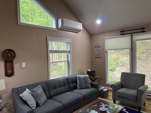 Smart TV, chimenea, videojuegos y reproductor de DVD 