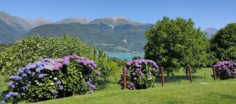 Charming apartment with swimming pool, tennis court