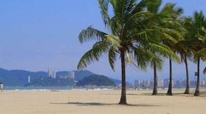 A beach with palm trees and a distant cityscape.