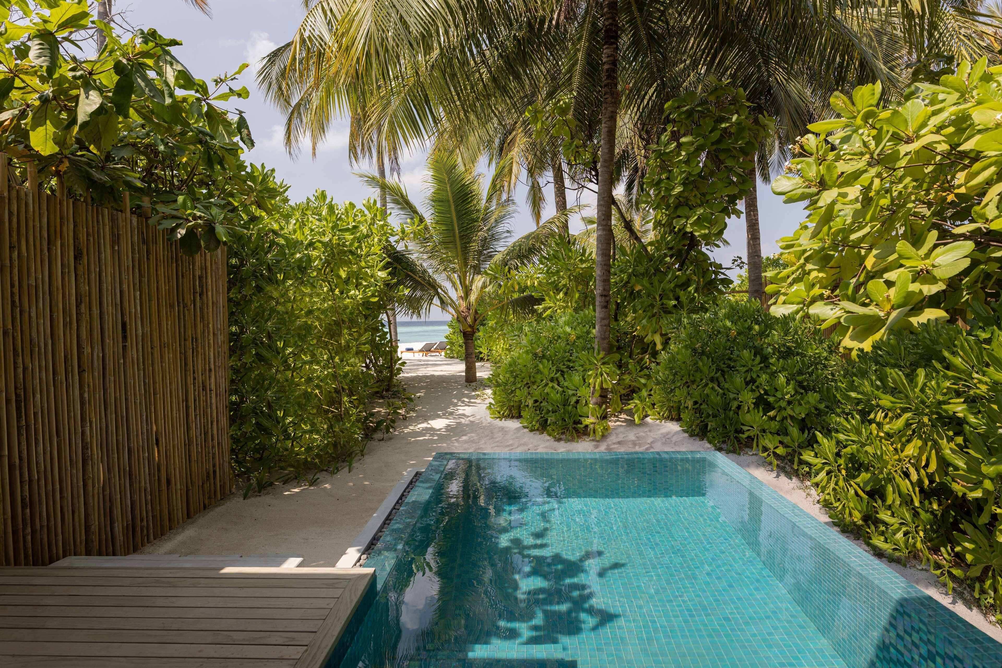 A pool area with a wooden deck, surrounded by lush greenery and palm trees, leading to a beach.