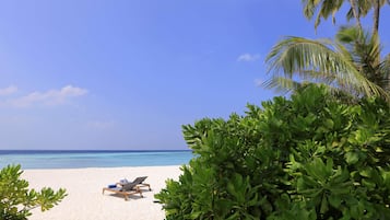A beach with white sand and a clear blue sky. There are two lounge chairs and a palm tree.