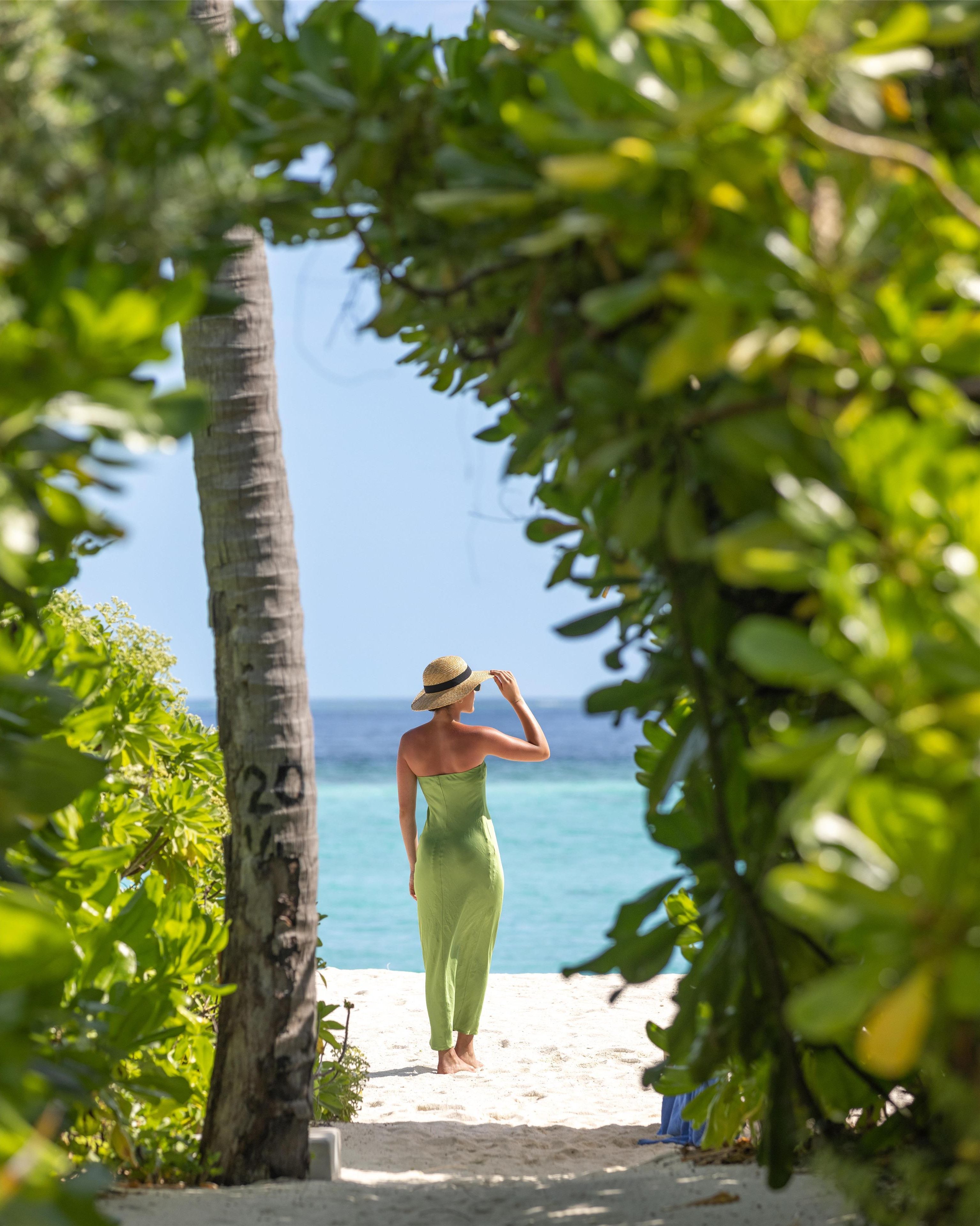 A pathway leading to a beach with a palm tree and greenery on the left.
