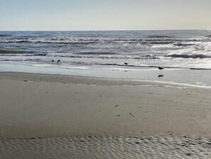 沙滩椅、沙滩毛巾