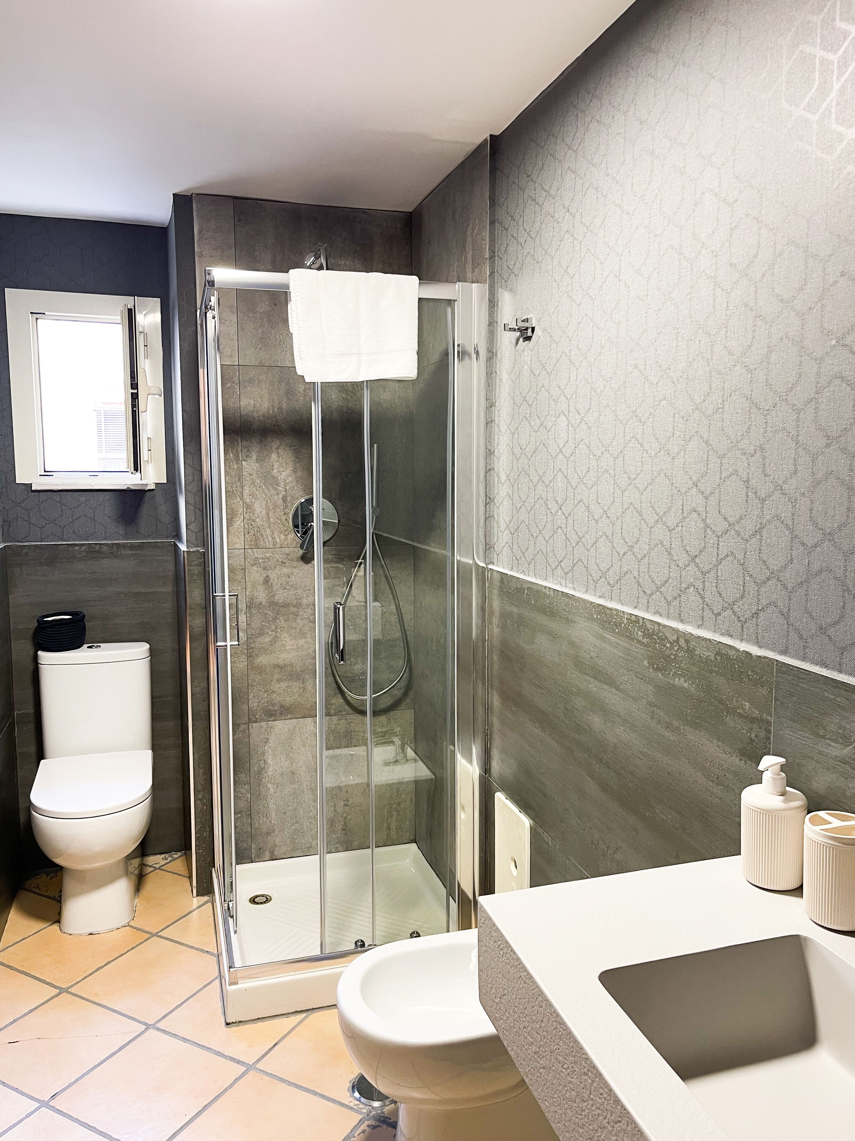 Dusche, Haartrockner, Bidet, Handtücher