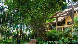 A pathway leading through a lush garden with dense foliage and a traditional building with a thatched roof. - Fair House Beach Resort & Hotel (Koh Samui)