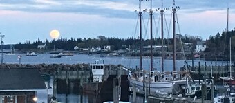 New Listing! Garden level Apartment with great harbor access!