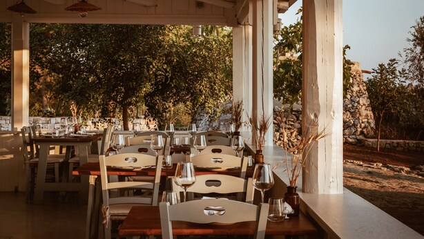 Un área de comedor al aire libre con mesas y sillas, rodeada de árboles y un muro de piedra.